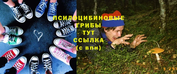гидра Богородск