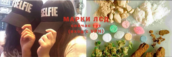гидра Богородск