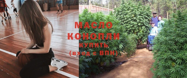 мяу мяу кристалл Богданович