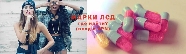 гидра Богородск