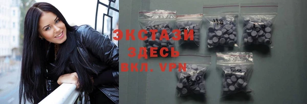 гидра Богородск