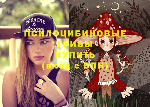 гидропоника Богородицк