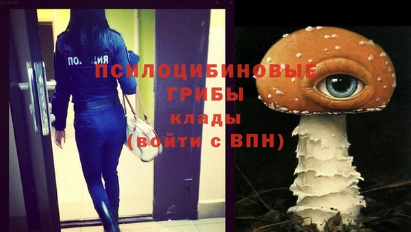 а пвп мука Верхний Тагил