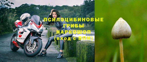 а пвп мука Верхний Тагил