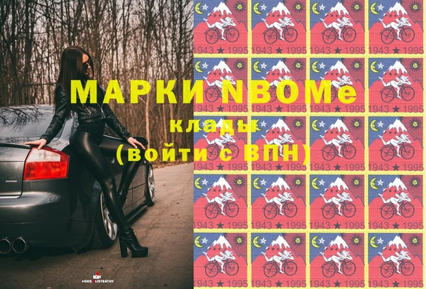 гидра Богородск